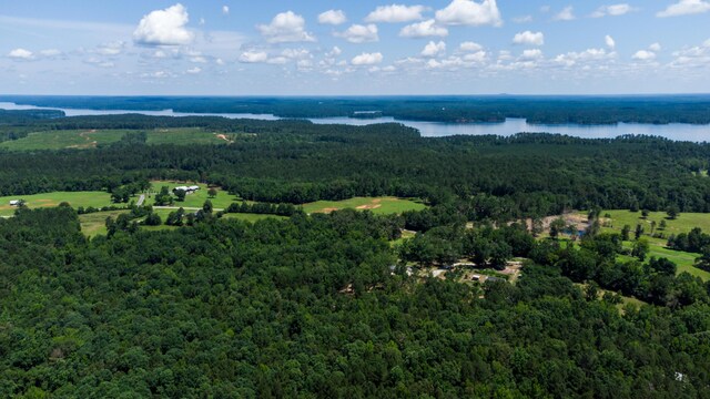 2652 Bethany Church Rd, Lincolnton, GA 30817 - photo 54