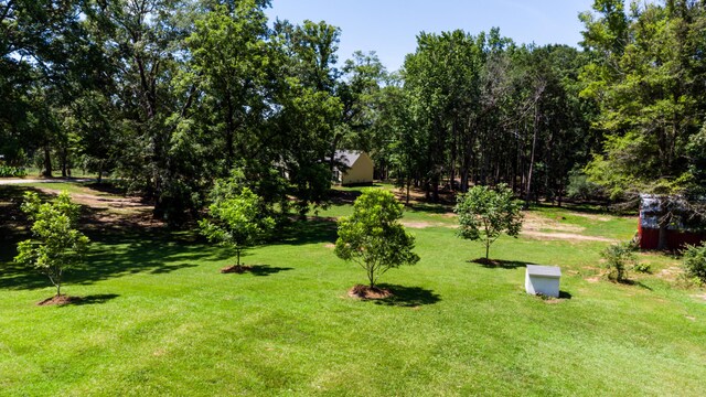 2652 Bethany Church Rd, Lincolnton, GA 30817 - photo 47