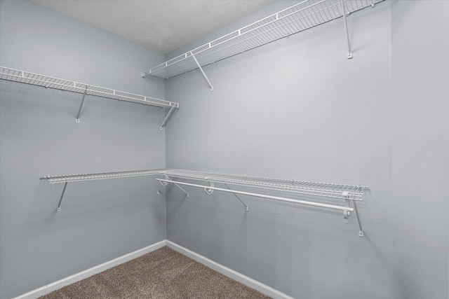 4308 Felmellow Dr, Grovetown, GA 30813 - spacious closet featuring carpet floors