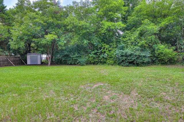 view of yard with a shed