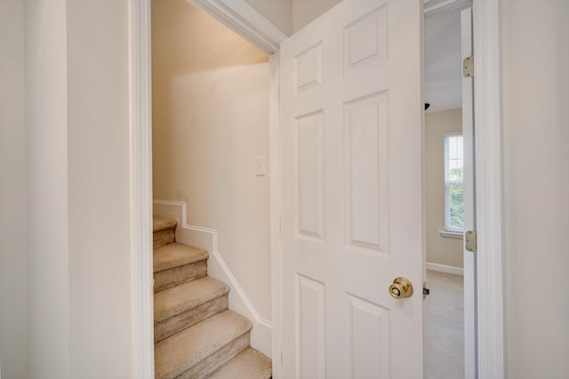 5107 Windmill Pl, Evans, GA 30809 - stairs featuring carpet floors and baseboards