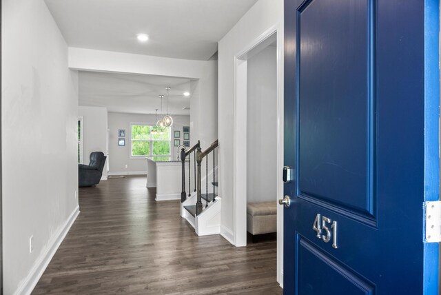 foyer entrance featuring dark hardwood / wood-style floors