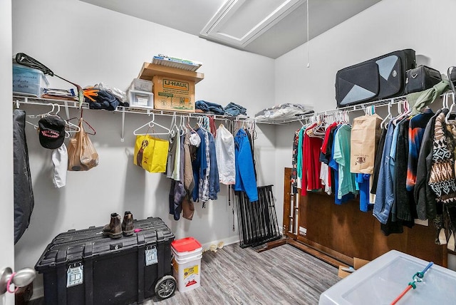 3076 White Gate Loop, Aiken, SC 29801 - spacious closet with attic access and wood finished floors