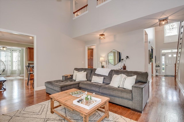 4002 Backwater Ct, Evans, GA 30809 - living room with wood finished floors, a towering ceiling, baseboards, and a wealth of natural light