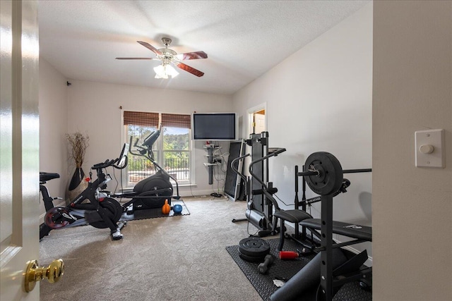 698 Heggies Ridge Dr, Appling, GA 30802 - exercise room featuring carpet, a ceiling fan, and baseboards