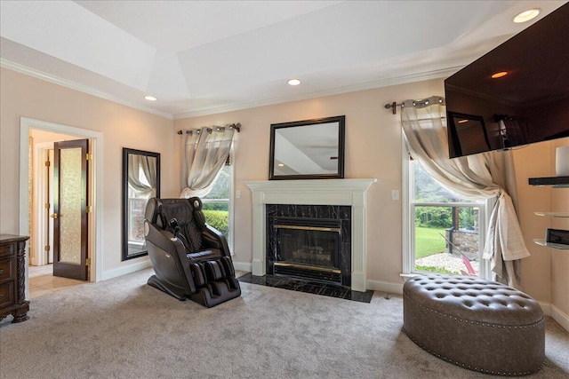 698 Heggies Ridge Dr, Appling, GA 30802 - living area with carpet, crown molding, healthy amount of natural light, a premium fireplace, and baseboards