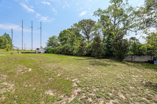 3415 Pine Hill Rd, Hephzibah, GA 30815 - view of yard