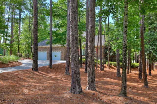 view of yard featuring a garage