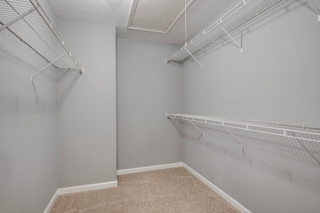 716 Whispering Willow Way, Grovetown, GA 30813 - photo 20