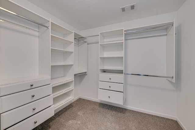 186 Caroleton Dr, Grovetown, GA 30813 - photo 20