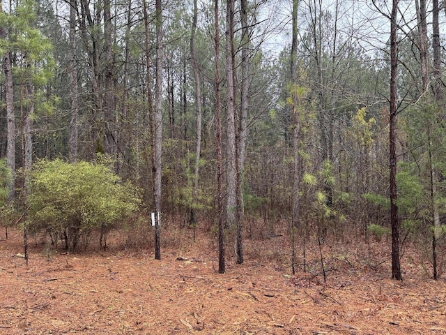 1094 Longleaf Way, Lincolnton, GA 30817 - photo 1