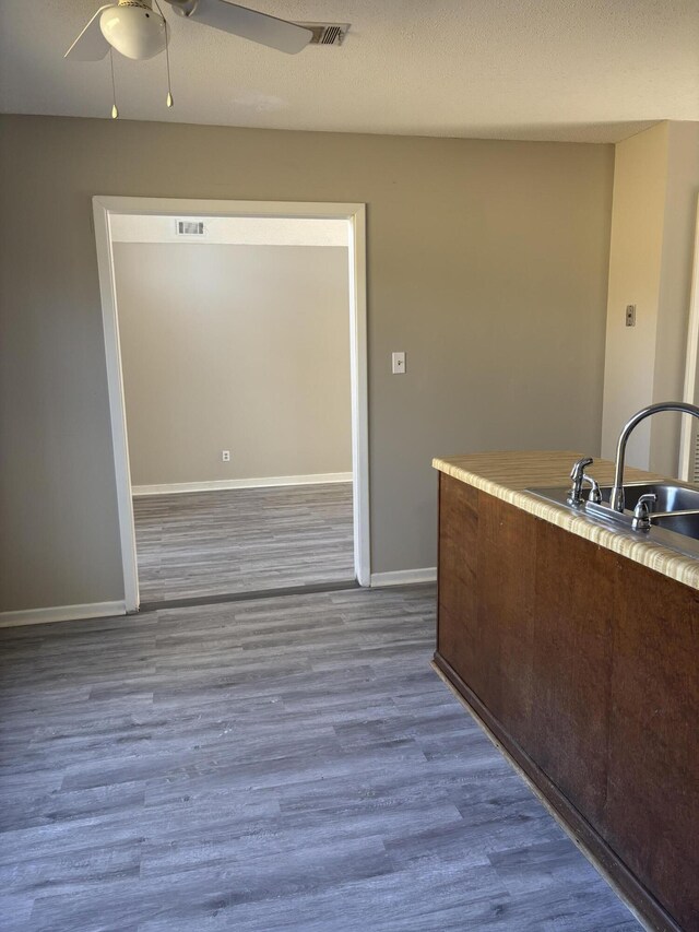 kitchen featuring hardwood / wood-style flooring, ceiling fan, and sink