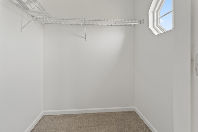 1244 Cobblefield Dr, Grovetown, GA 30813 - photo 20