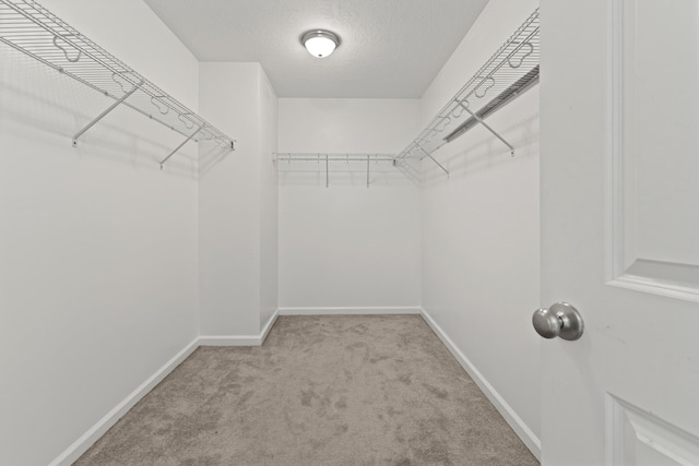 1244 Cobblefield Dr, Grovetown, GA 30813 - photo 17