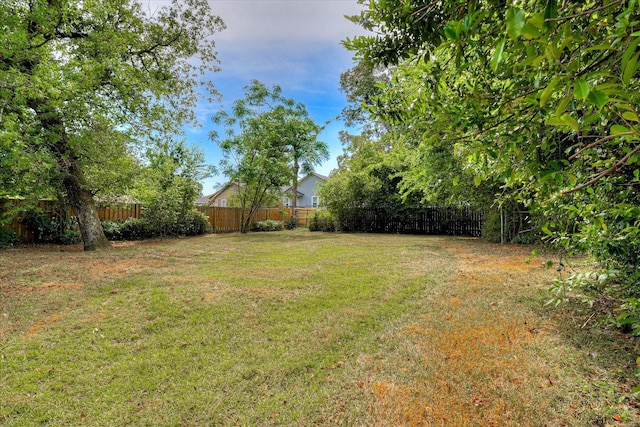 1107 Adrian St, Augusta, GA 30904 - view of yard