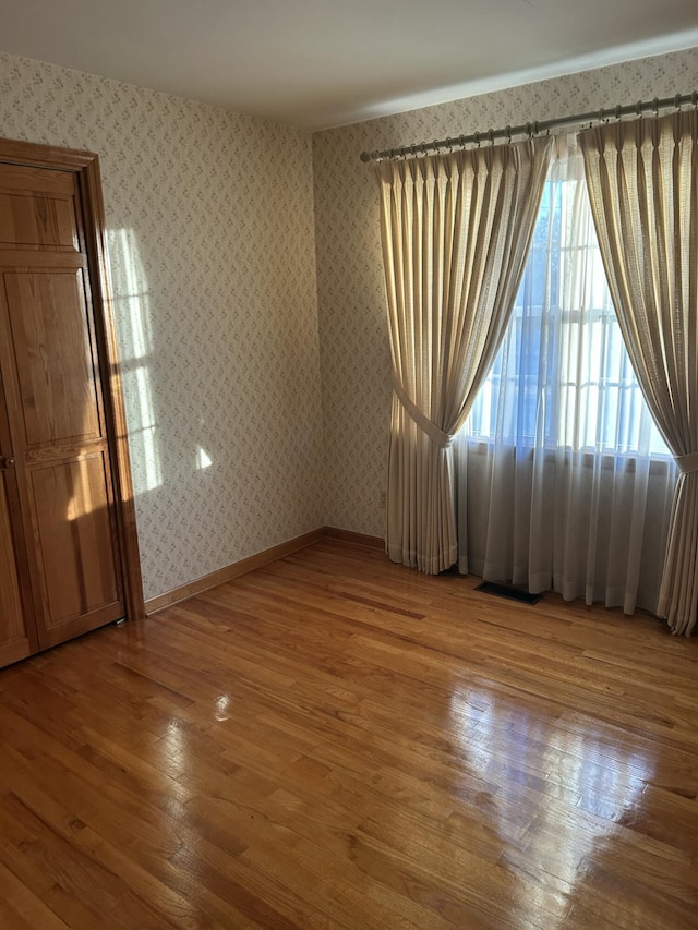 spare room featuring wood-type flooring