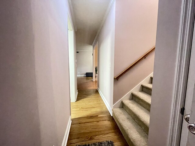 hallway featuring light wood-type flooring and crown molding