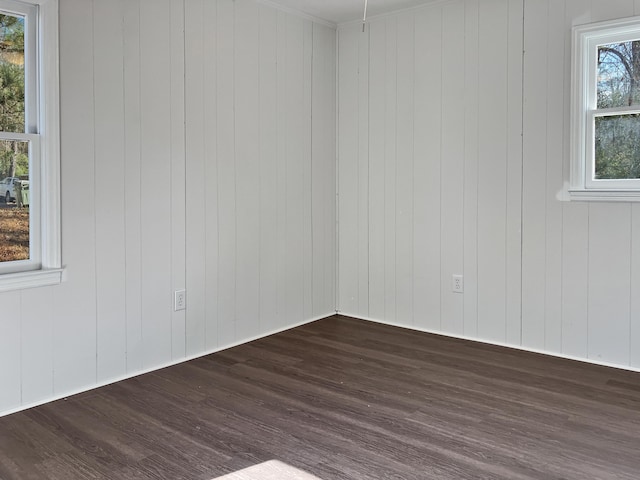 unfurnished room featuring wooden walls and plenty of natural light