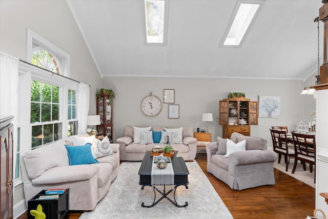 429 Cambridge Cir, Martinez, GA 30907 - living room with lofted ceiling, a skylight, wood finished floors, and crown molding