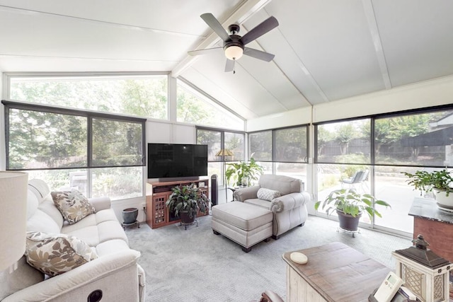 189 Mokateen Ave, North Augusta, SC 29841 - sunroom / solarium with carpet, a ceiling fan, and plenty of natural light