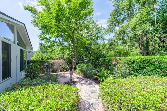 189 Mokateen Ave, North Augusta, SC 29841 - view of yard