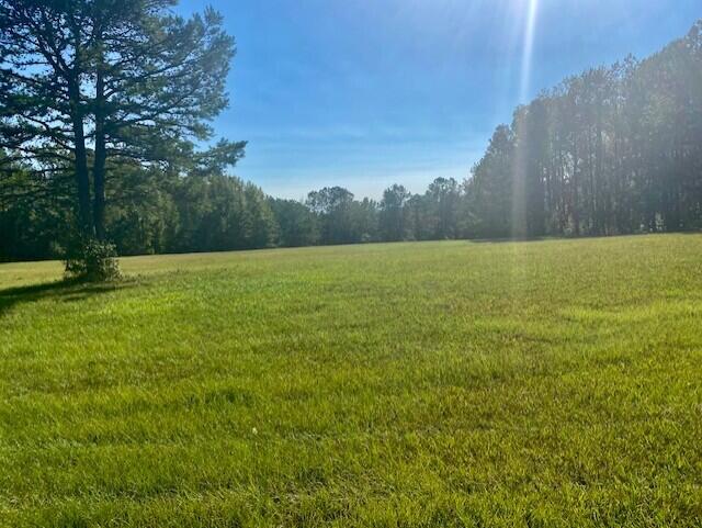 00 E White Oak Rd, Appling GA, 30802 land for sale