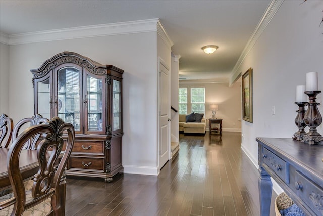 hallway featuring dark wood-type flooring and crown molding