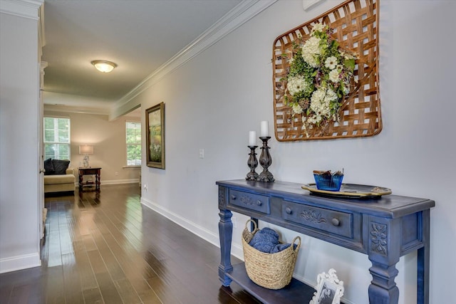 hallway with dark hardwood / wood-style flooring and crown molding