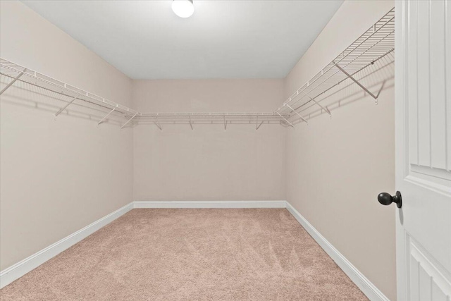 spacious closet with carpet flooring