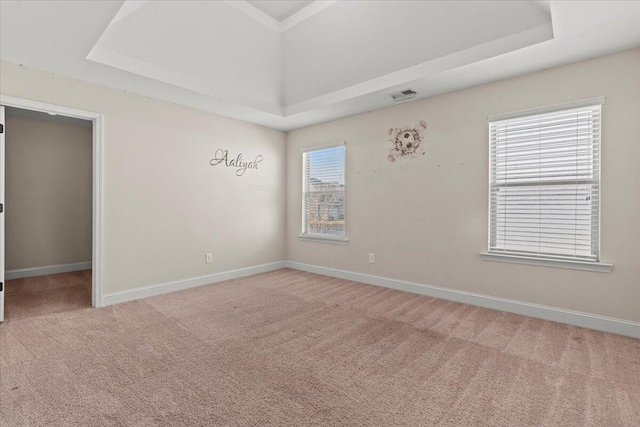 empty room with a healthy amount of sunlight, light colored carpet, and a raised ceiling