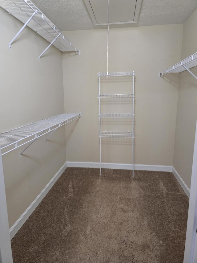 412 York Ln, Augusta, GA 30909 - walk in closet with carpet flooring and attic access
