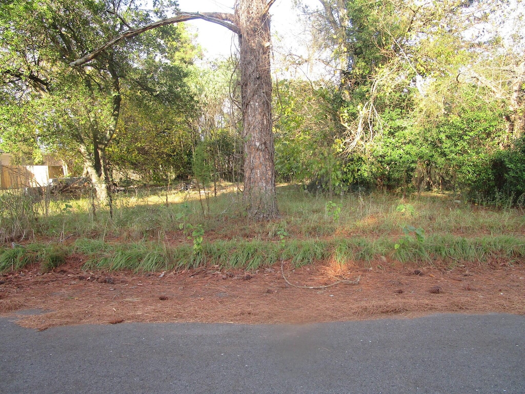 503 Dupont St, Augusta, GA 30901 - photo 4
