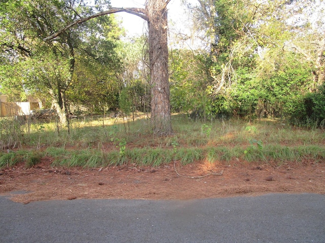 503 Dupont St, Augusta, GA 30901 - photo 4