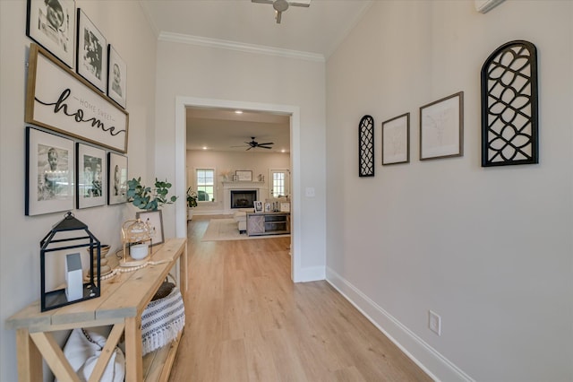 278 Bonhill St, North Augusta, SC 29860 - photo 7
