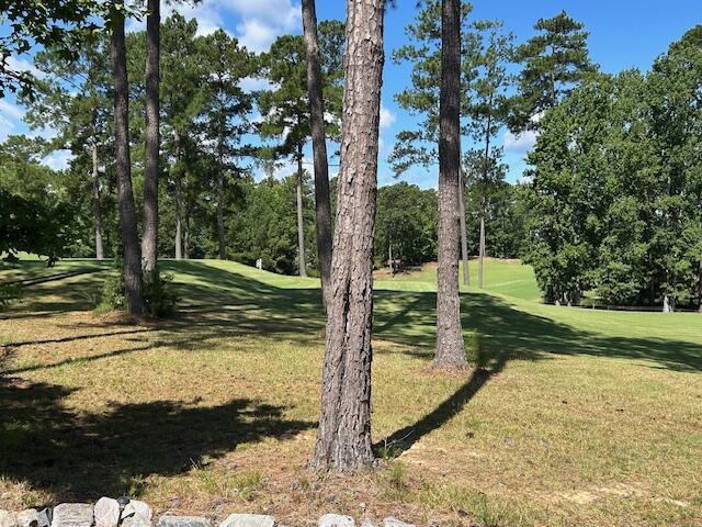 217 Amelia Dr, Mccormick, SC 29835 - photo 29