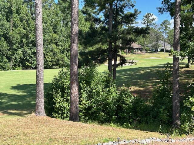 217 Amelia Dr, Mccormick, SC 29835 - photo 28