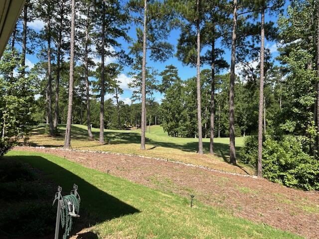 217 Amelia Dr, Mccormick, SC 29835 - photo 26