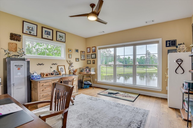 139 Laurens Dr, Mccormick, SC 29835 - office space featuring healthy amount of natural light, a ceiling fan, light wood-style floors, and baseboards