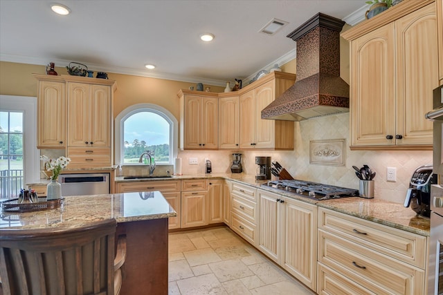 139 Laurens Dr, Mccormick, SC 29835 - kitchen with a sink, custom exhaust hood, stainless steel appliances, crown molding, and healthy amount of natural light