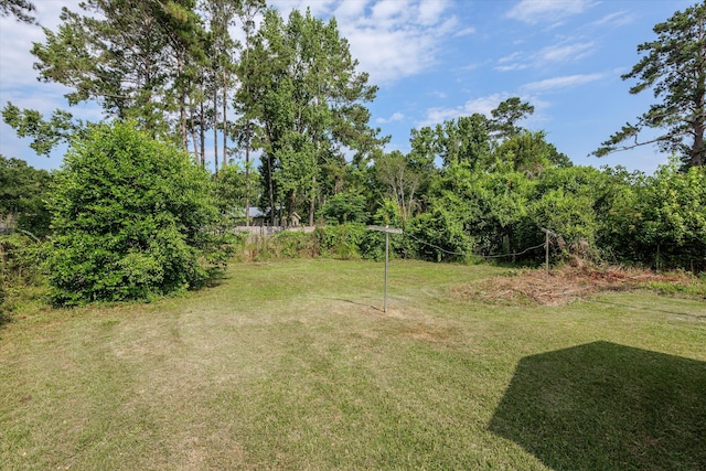3589 Jonathan Cir, Augusta, GA 30906 - view of green lawn