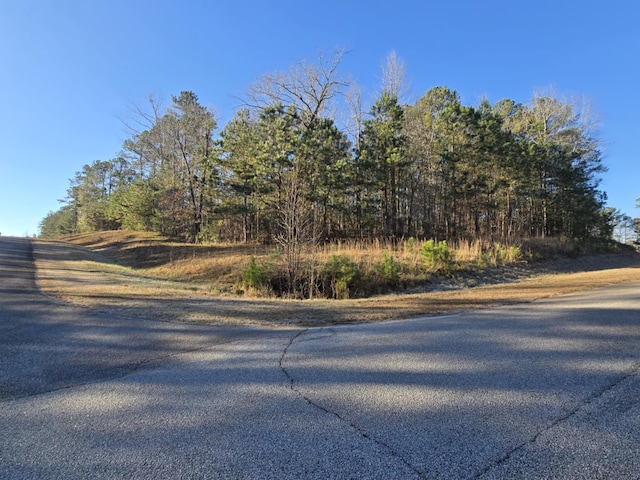 10B Savannah Bay Dr, Lincolnton GA, 30817 land for sale