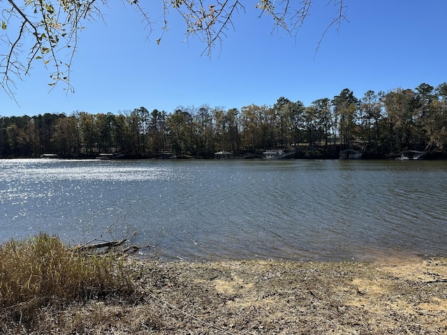 1277 Edge Ln, Tignall, GA 30668 - photo 7