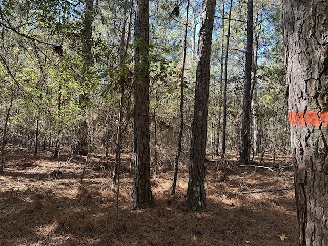 1277 Edge Ln, Tignall, GA 30668
