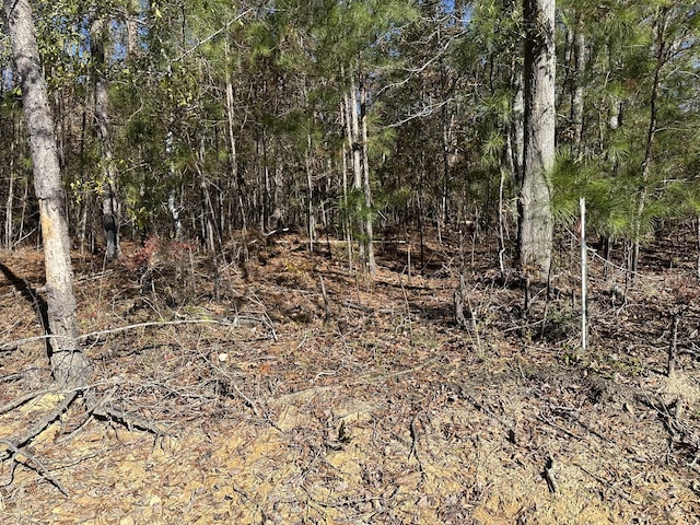 1277 Edge Ln, Tignall, GA 30668 - photo 6