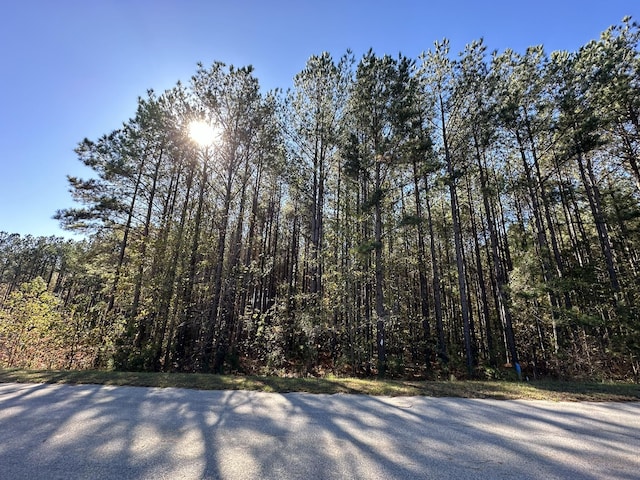 1277 Edge Ln, Tignall, GA 30668 - photo 1
