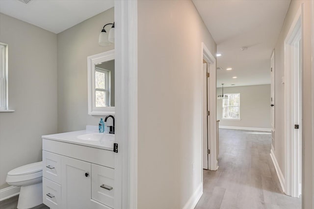 bathroom featuring vanity, wood-type flooring, and toilet