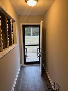 doorway to outside featuring dark hardwood / wood-style floors