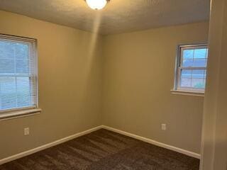 carpeted spare room with a wealth of natural light