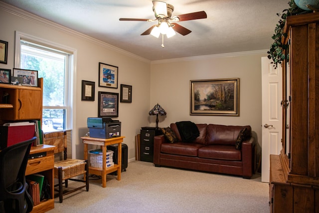 6287 Rousseau Creek Rd, Thomson, GA 30824 - photo 49