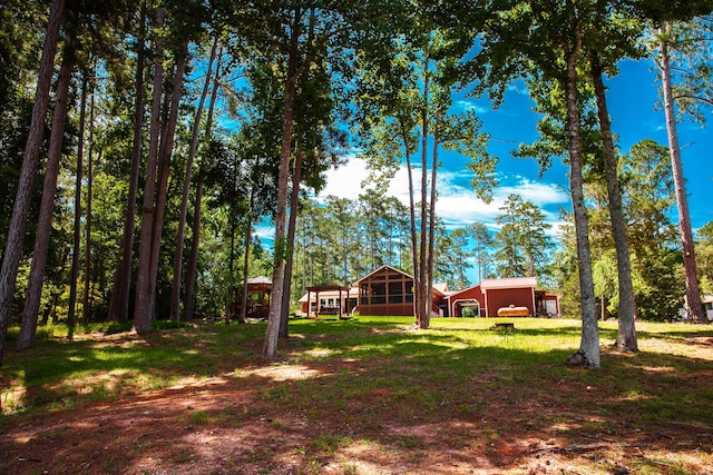 6287 Rousseau Creek Rd, Thomson, GA 30824 - view of green lawn